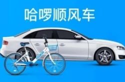 [7分钟教程]绥化分公司_哔哩哔哩
